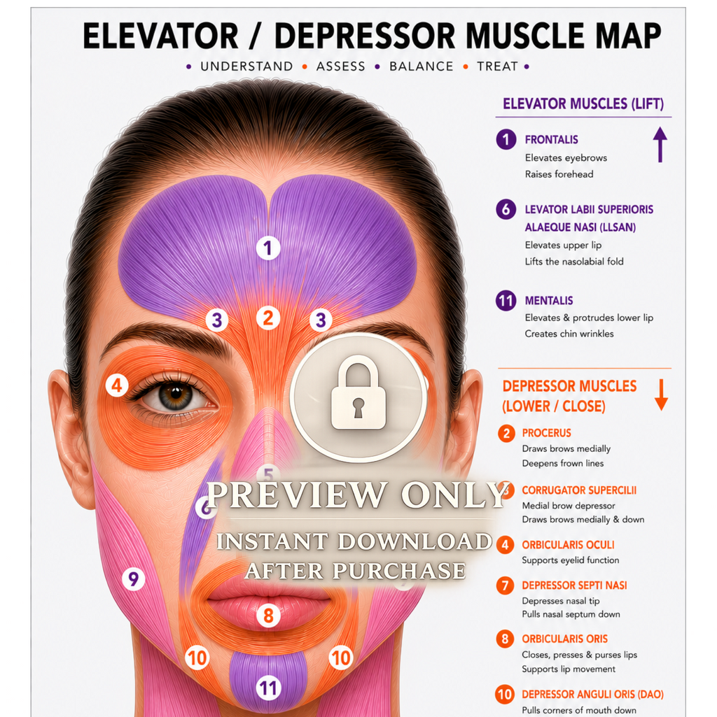 Botox Anatomy Clinic Poster Bundle