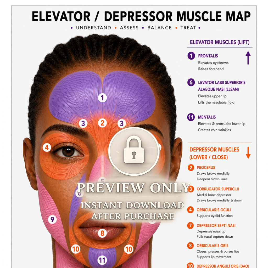 Botox Anatomy Clinic Poster Bundle