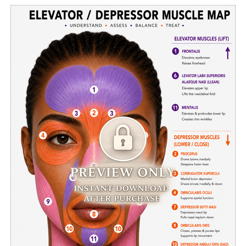 Botox Anatomy Clinic Poster Bundle